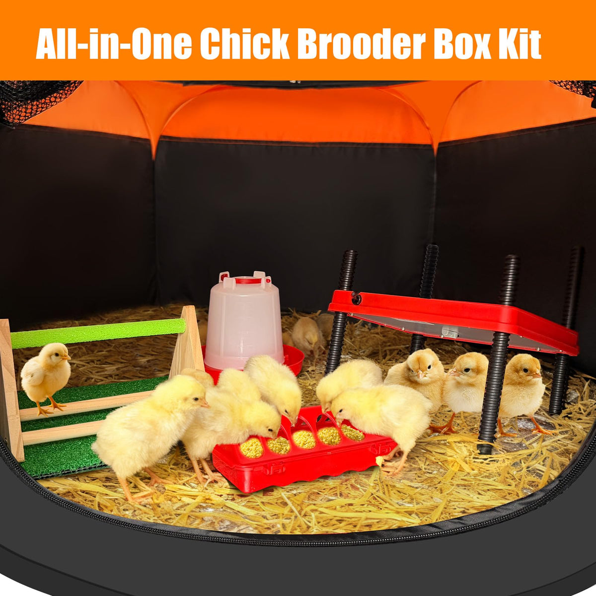 Brooder Box for Chick, Chick Starter Kit with Brooder Heating Plate