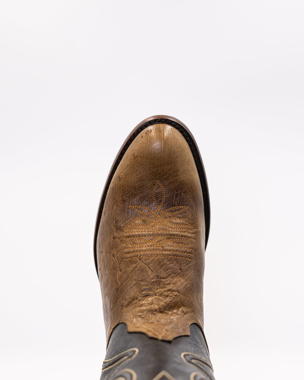 Ostrix Tabaco