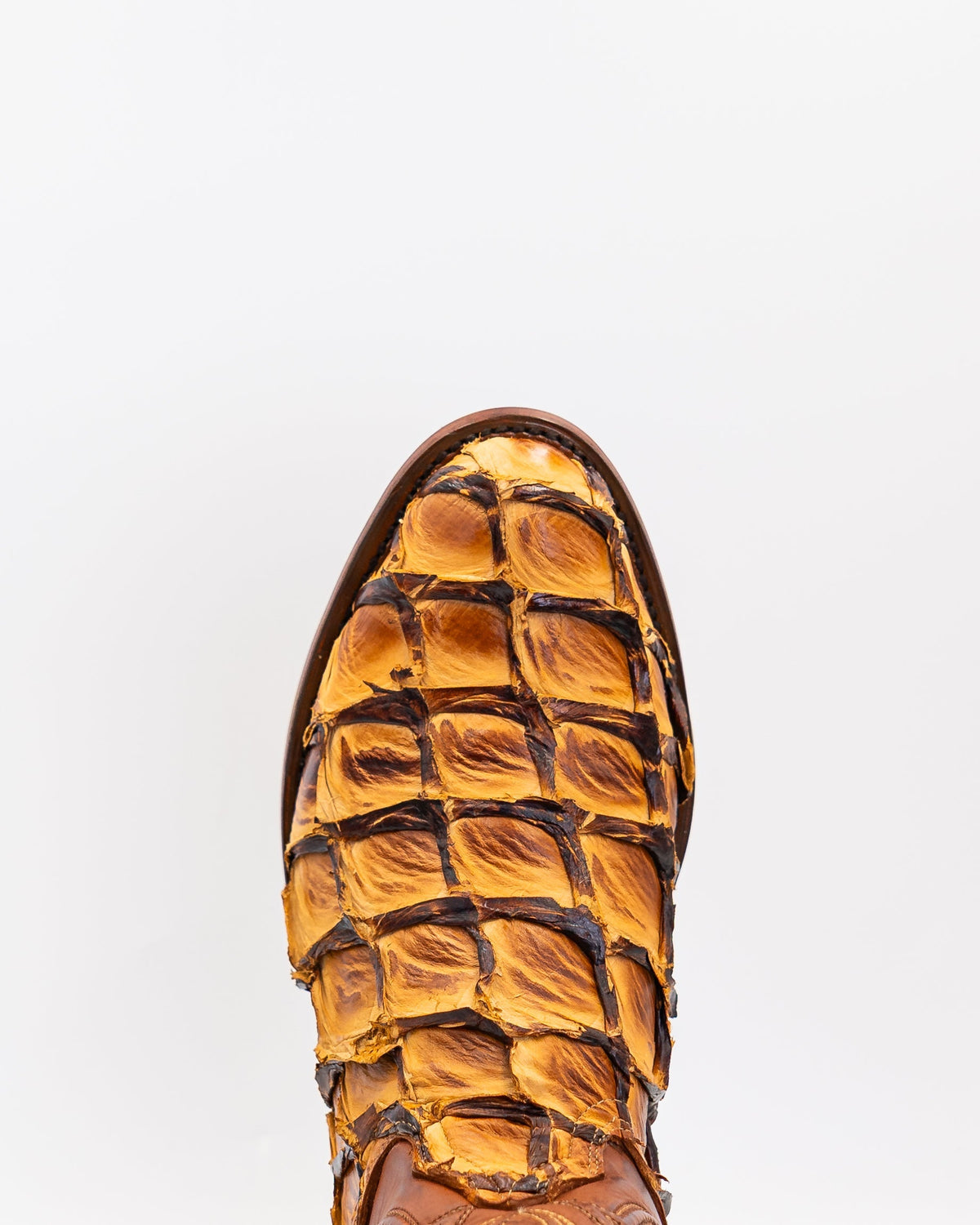 Wilson Butter Scotch