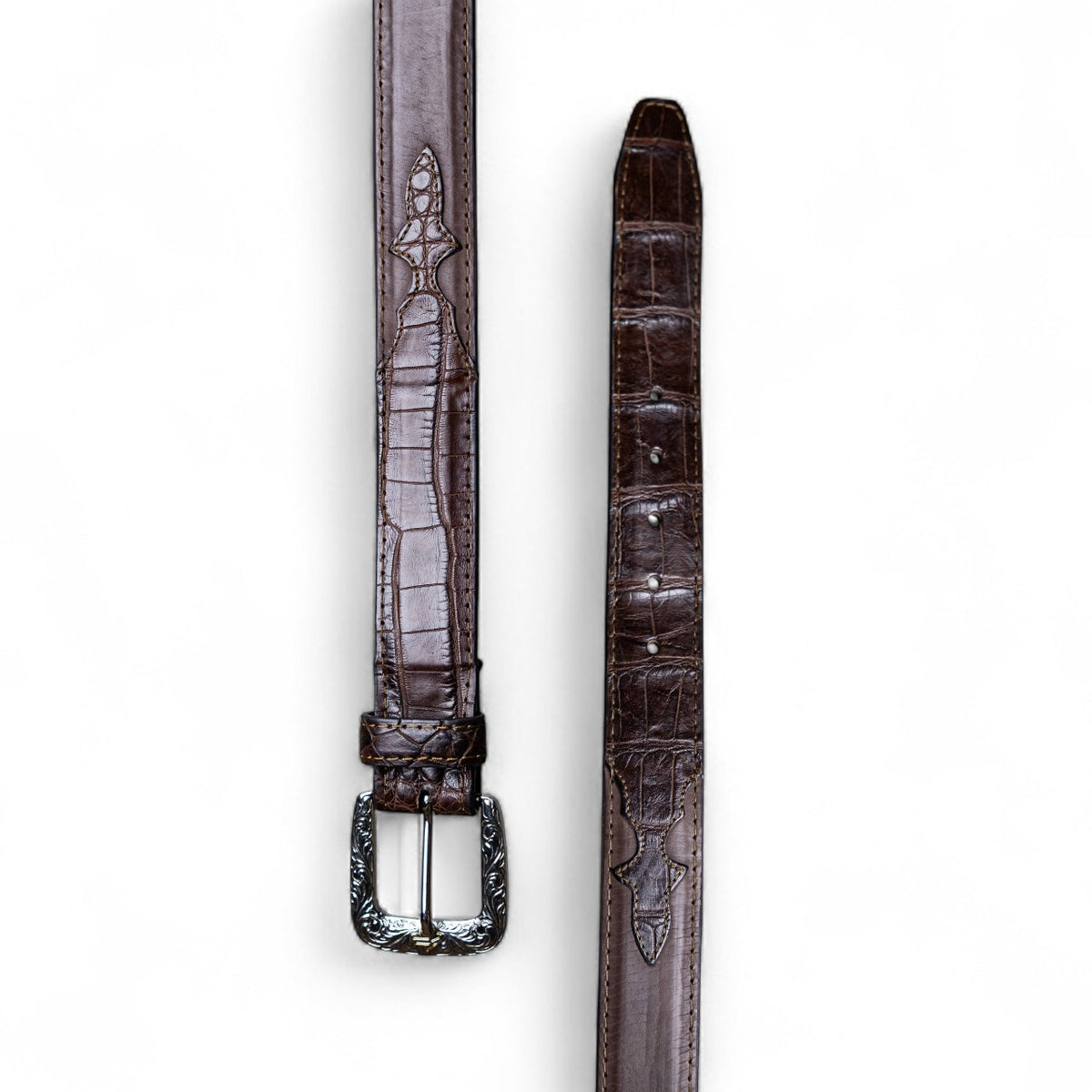 Alligator Espresso Belt