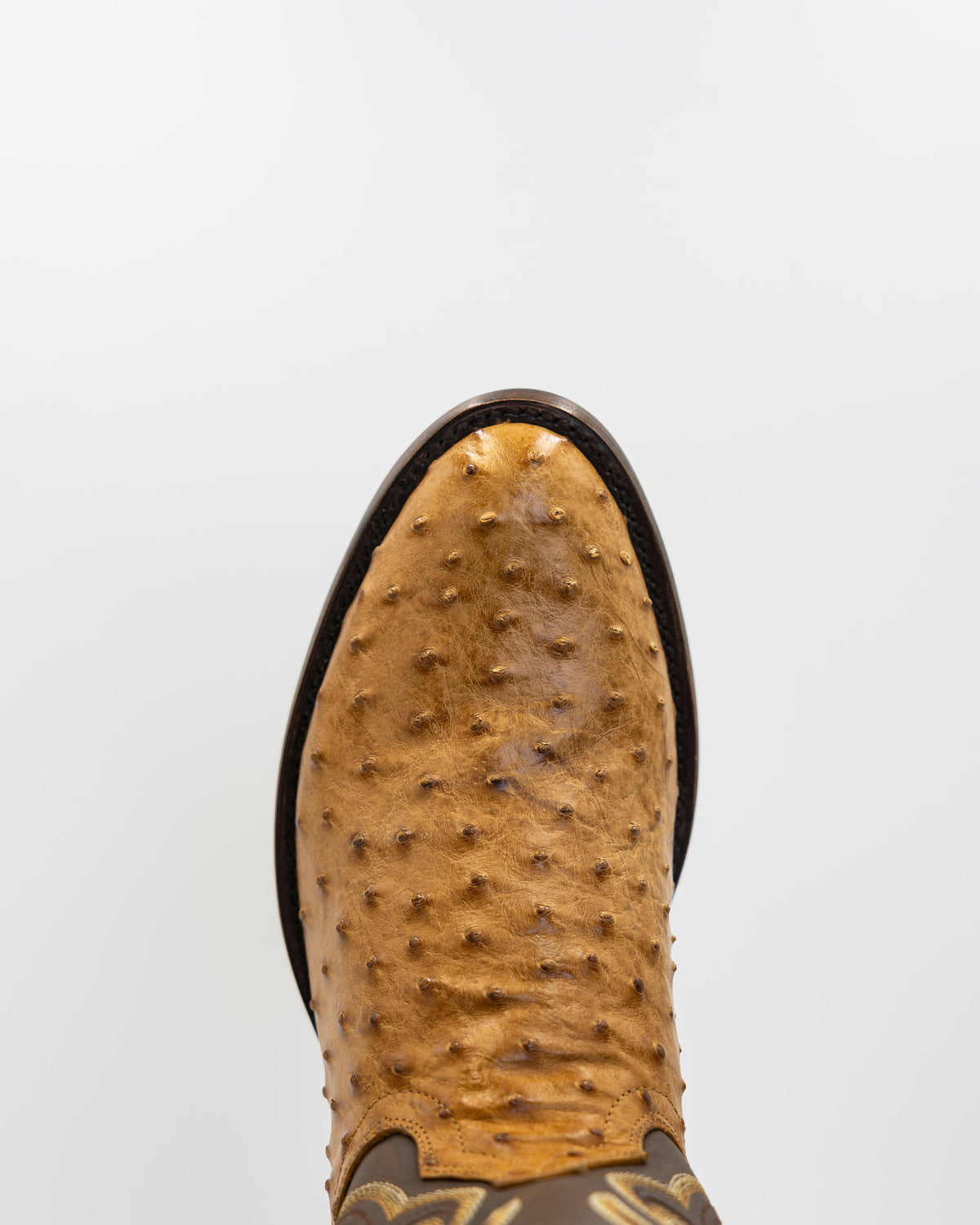 Nate Cork