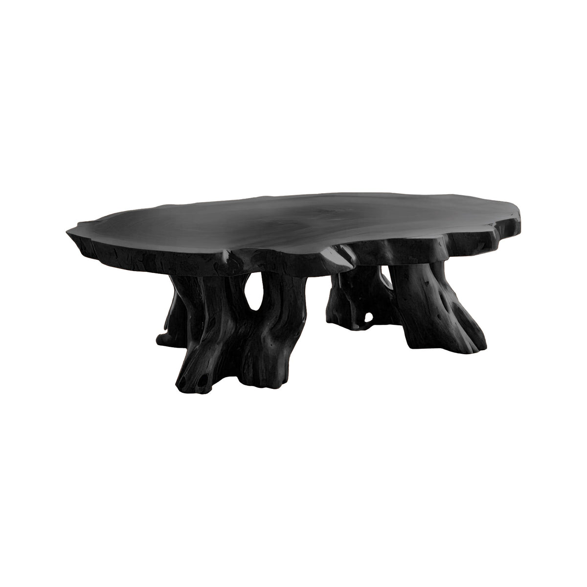 Teak Root Coffee Table with Sculptural Root-Form Base in Black finish
